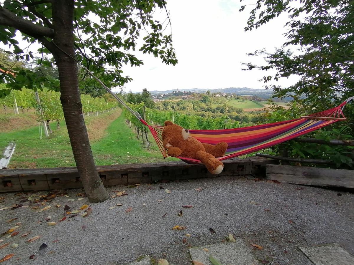 Natural Cottage Glamping Eco-Tiny House Skocjan  Buitenkant foto