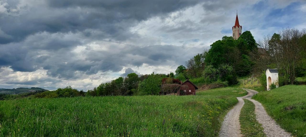 Natural Cottage Glamping Eco-Tiny House Skocjan  Buitenkant foto