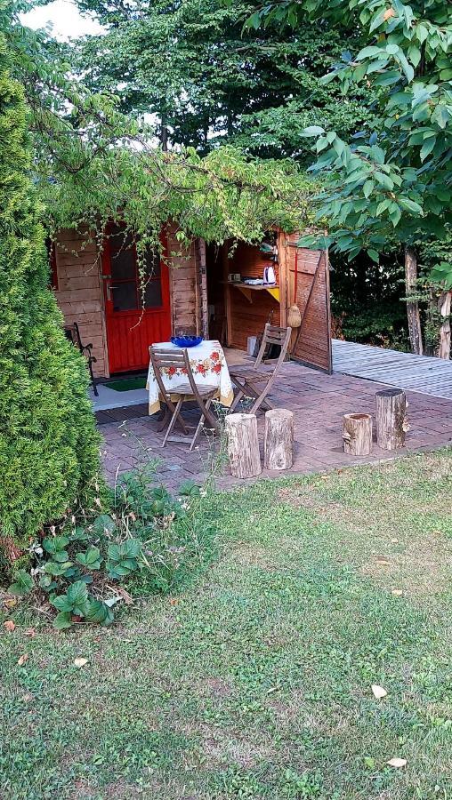 Natural Cottage Glamping Eco-Tiny House Skocjan  Buitenkant foto