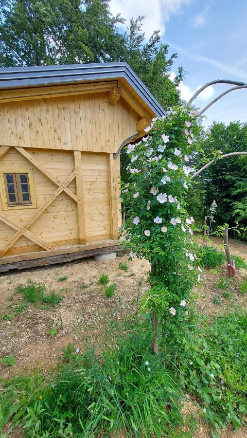 Natural Cottage Glamping Eco-Tiny House Skocjan  Buitenkant foto