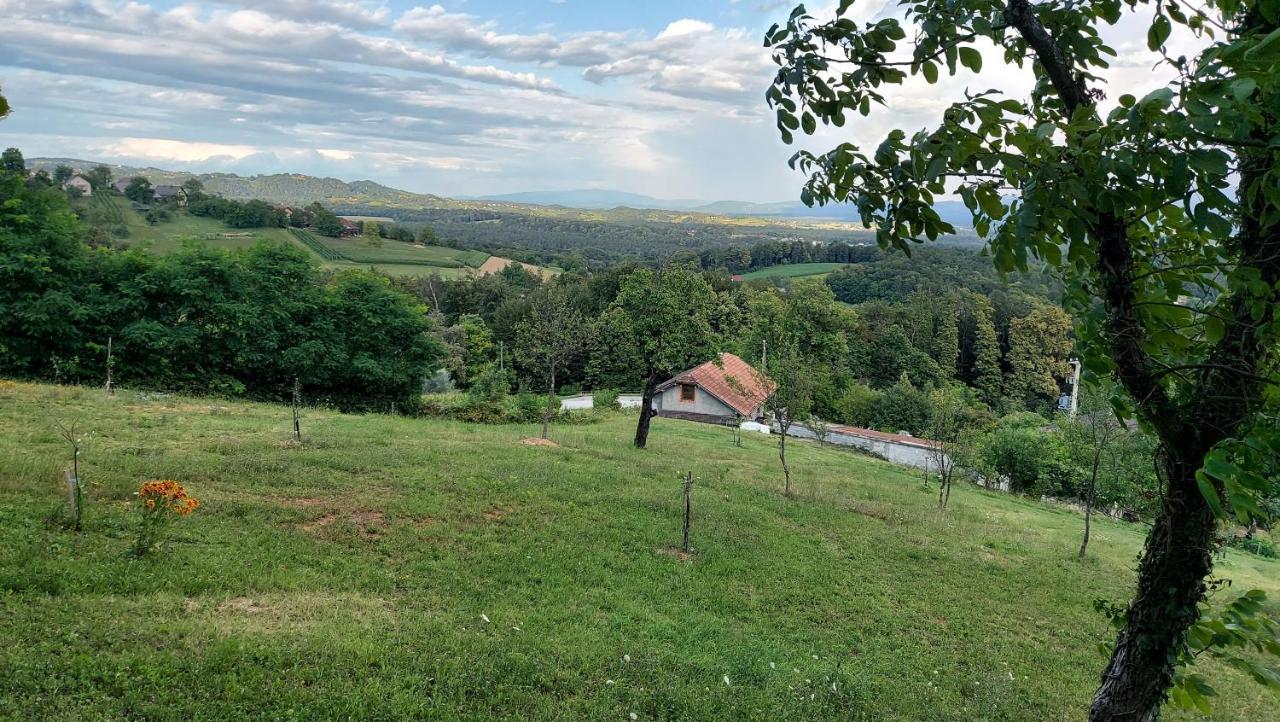 Natural Cottage Glamping Eco-Tiny House Skocjan  Buitenkant foto